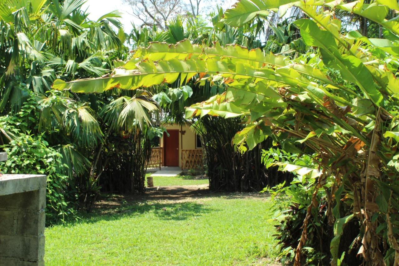Topche, Centro Ecoturistico Lacanja Ngoại thất bức ảnh